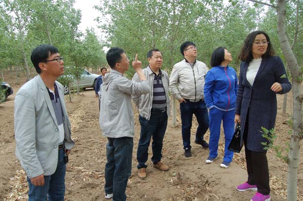 1:實(shí)地查看項(xiàng)目實(shí)施情況 (2)a.jpg