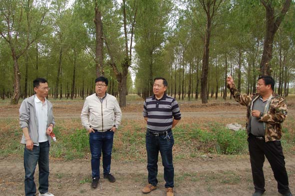 1:實(shí)地查看項(xiàng)目實(shí)施情況 (4)a.jpg