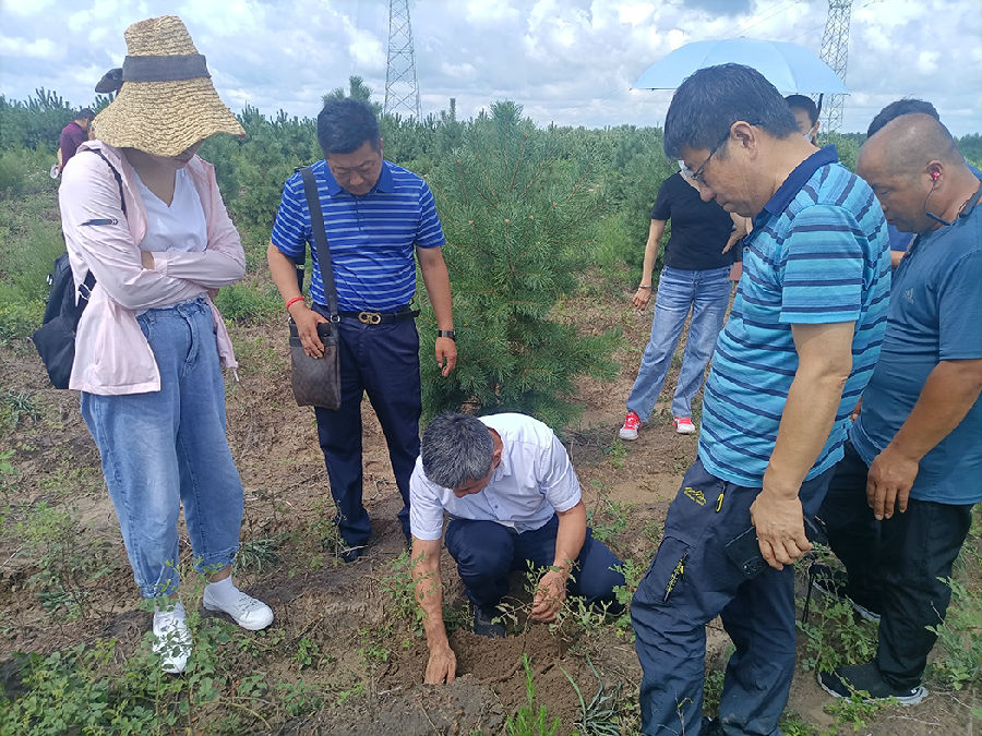 專家現(xiàn)場指導(dǎo).jpg